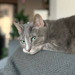 Meet your Posher, Thiana